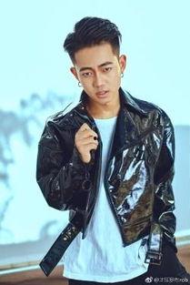 才旺罗布个人资料,藏地才子，艺术与信仰的传承者