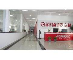 扬子集团背景,从地方企业到全球知名品牌的崛起之路